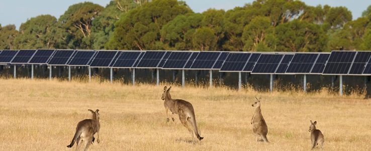 European Energy achieves financial close for Australian solar project