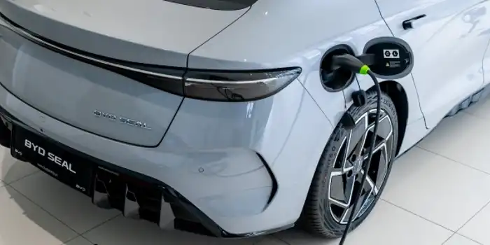 plichta_x_greencell_2024