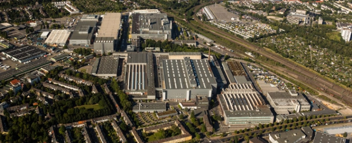 Dusseldorf-plant