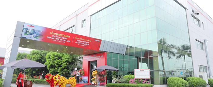 Hanoi-Vietnamn-Plant