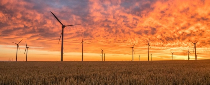 windmills-pexels