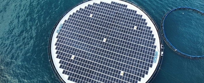 Sun_floating_solar