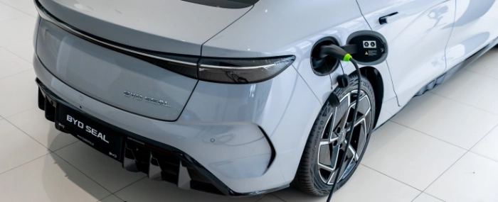 plichta_x_greencell_2024