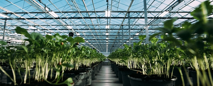 Helio-lighting-system-Heliospectra