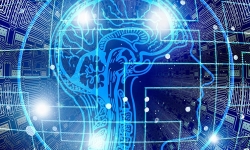 ai-vector