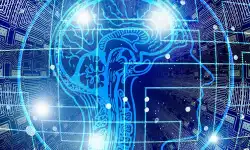 ai-vector