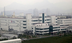 Guangzhou-plant