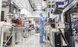 lab