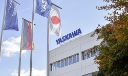 Building-flags