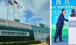 nanjing-plant-sculpture