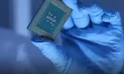 chip