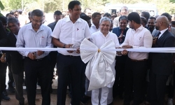 Tamil_Nadu_plant