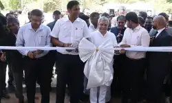 Tamil_Nadu_plant