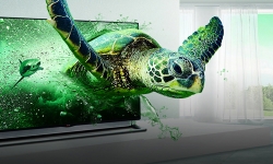 3d-tv