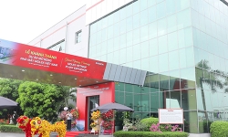 Hanoi-Vietnamn-Plant