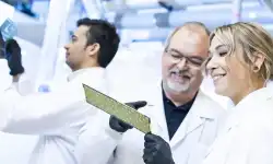 employees-looking-at-boards