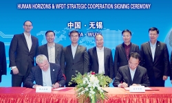 cooperation-WFDT-Protean_