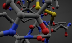 polymer_molecule