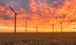 windmills-pexels