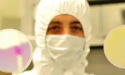 lab