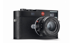 leicla-M-11-model