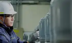 lab
