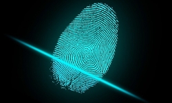 ar130405-fingerprint