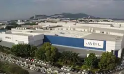 Penang-plant1