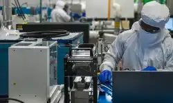 lab