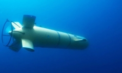 Phins_Compact
