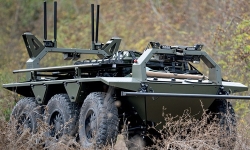 defence