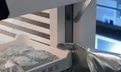 lab