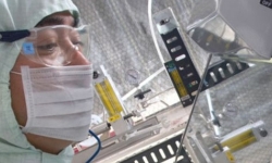 lab