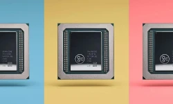 chip