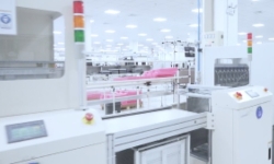 lab