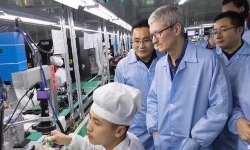 tim-cook
