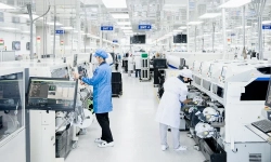 Bluechips-Zollner-Elektronik-production-2025