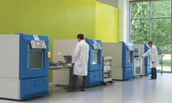 Codogno-production