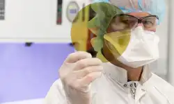 sic-wafer