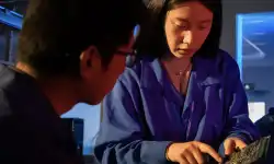 develops-verification-platform-for-chip-solutions-provider