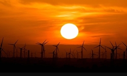 Renewables