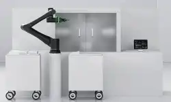 Bots