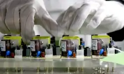 lab
