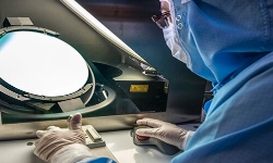lab