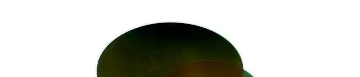 300mm-sic