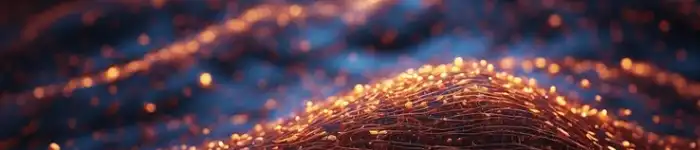 fiber_network_thedigitalartist