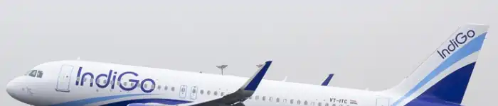 Indigo