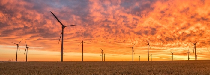 windmills-pexels