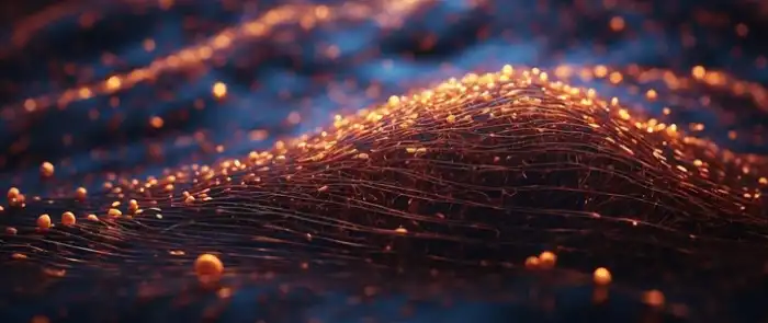 fiber_network_thedigitalartist