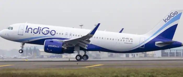 Indigo